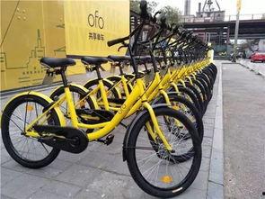 自行车新配件爆料视频播放,自行车新配件爆料视频深度解析  第3张