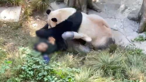 今日动物爆料最新消息,揭秘神秘生物新发现  第2张 今日动物爆料最新消息,揭秘神秘生物新发现  第2张