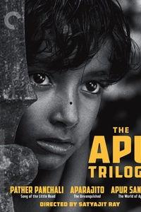 大地印度在线观看,在线探索神秘印度文化的视觉之旅  第2张 大地印度在线观看,在线探索神秘印度文化的视觉之旅  第2张