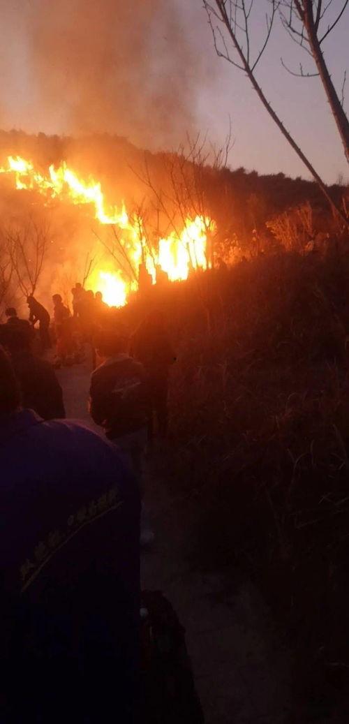 狮子山爆料视频最新,最新热点事件深度解析  第3张 狮子山爆料视频最新,最新热点事件深度解析  第3张