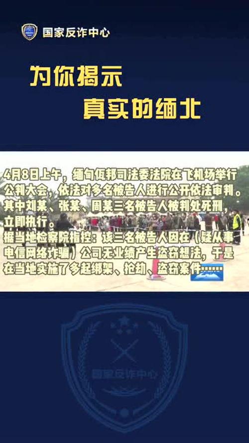缅北视频爆料是真的吗,真相究竟如何?  第3张 缅北视频爆料是真的吗,真相究竟如何?  第3张