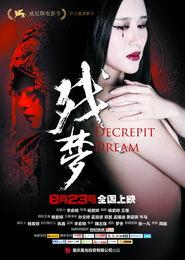 残梦电影在线观看,穿越时空的奇幻之旅  第3张 残梦电影在线观看,穿越时空的奇幻之旅  第3张