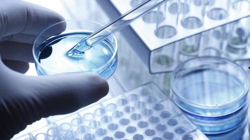 核酸爆料视频大全最新,最新视频大全深度解析  第3张